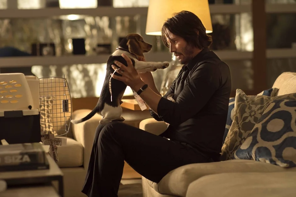 ジョン・ウィックと子犬の穏やかな瞬間
