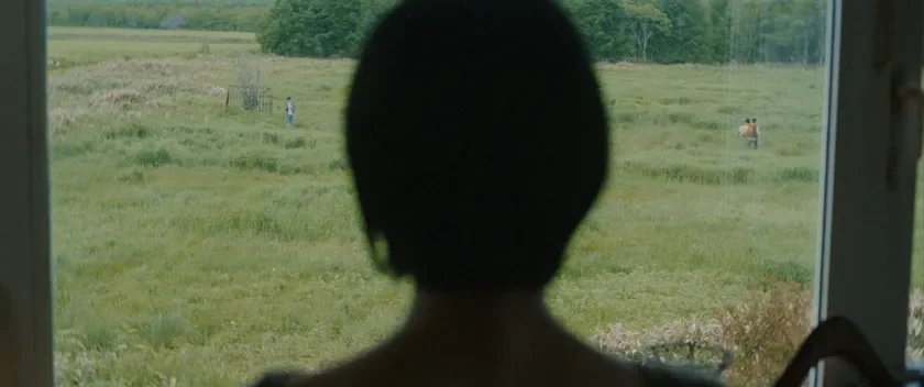 窓から草原を眺める人物の後ろ姿